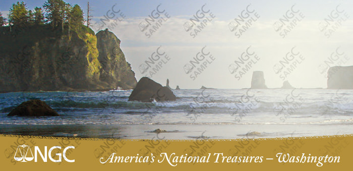 NEW IN!!! – American Treasures