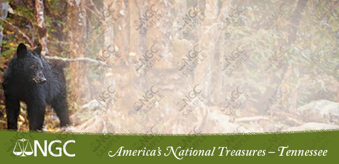 NEW IN!!! – American Treasures